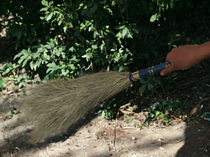 A visually appealing depiction of a natural grass broom, embodying sustainable simplicity and traditional craftsmanship. The broom, set against a neutral backdrop, reflects the art and grace of eco-friendly cleaning tools.